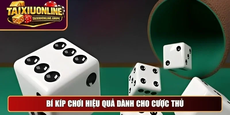 Bí kíp chơi hiệu quả dành cho cược thủ Bí kíp chơi hiệu quả dành cho cược thủ