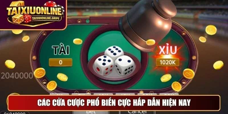 Các cửa cược phổ biến cực hấp dẫn hiện nay