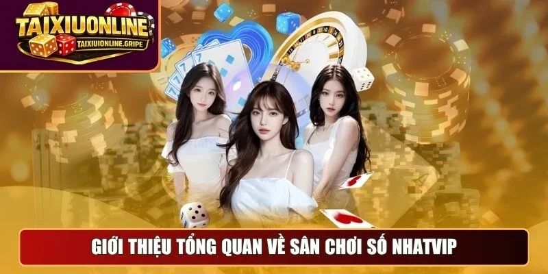 Giới thiệu tổng quan về sân chơi số Nhatvip