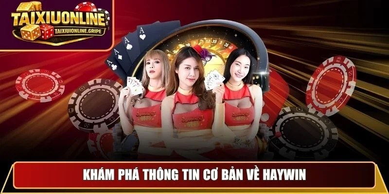 Khám phá thông tin cơ bản về Haywin