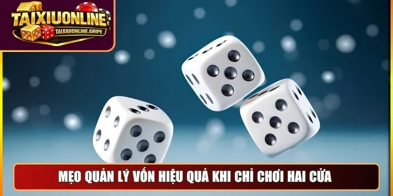 Mẹo quản lý vốn hiệu quả khi chỉ chơi hai cửa 