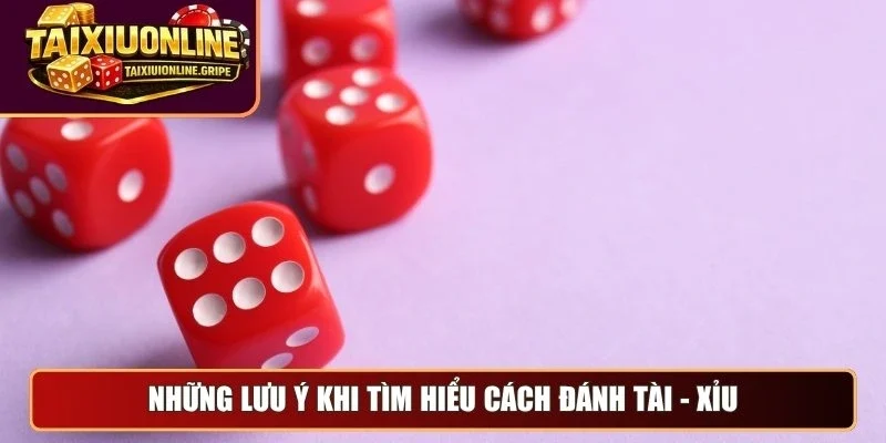 Những lưu ý khi tìm hiểu cách đánh tài - xỉu Những lưu ý khi tìm hiểu cách đánh tài - xỉu