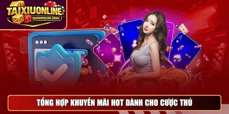 Tổng hợp khuyến mãi hot dành cho cược thủ Tổng hợp khuyến mãi hot dành cho cược thủ