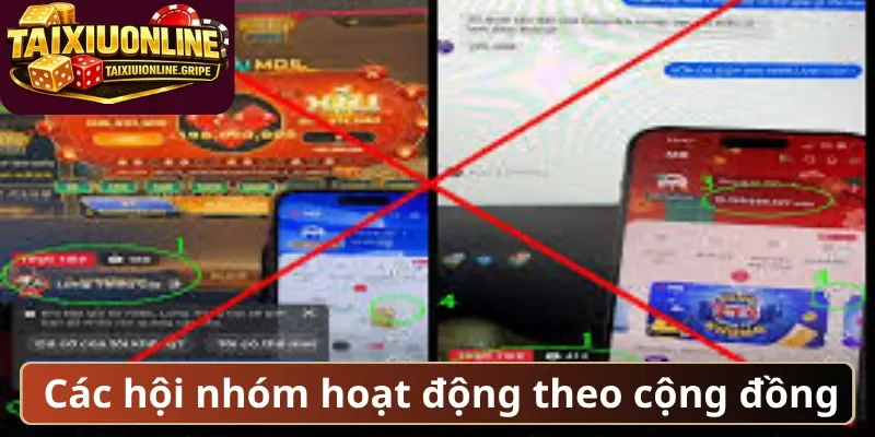 Các hội nhóm hoạt động theo cộng đồng