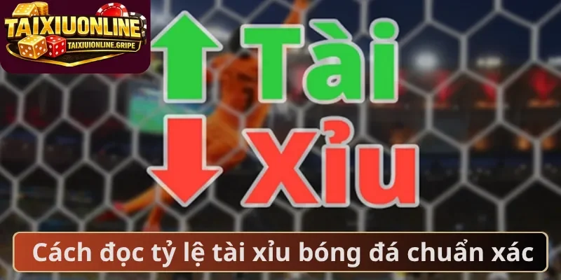 Cách đọc tỷ lệ tài xỉu bóng đá chuẩn xác