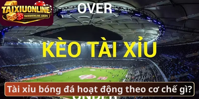 Tài xỉu bóng đá hoạt động theo cơ chế gì