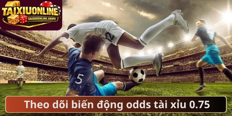 Theo dõi biến động odds tài xỉu 0.75